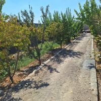 باغ-500-متری-با-امکانات-کامل-دارافشان