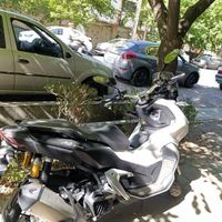 adv 150 هانی|موتورسیکلت|تهران, نیلوفر|دیوار