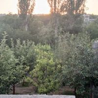 فروش-باغ-با-کاربری-مسکونی