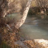 فروش زمین ۱۰۰۰ متری در زرین دشت|فروش زمین و ملک کلنگی|تهران, اقدسیه|دیوار