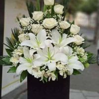 گل برای تبریک تولد،عاشقانه،نوزادی،اداری و رسمی|گل و گیاه طبیعی|تهران, چیتگر|دیوار