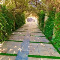 700-متر-باغ-آماده-بر-اصلی-گل-مینا-سند-دار-اقساطی