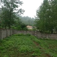 زمین-قواره-های-300-متری-سنددار-پلاک-اول-جنگل