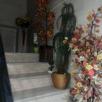 درختچه مصنوعی|گل مصنوعی|تهران, امامزاده حسن(ع)|دیوار