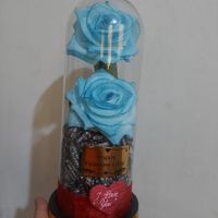 باکس گل شیشه ای در اندازه مختلف|گل مصنوعی|تهران, نعمت‌آباد|دیوار