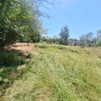 زمین-مشاع-داخل-طرح-هادی