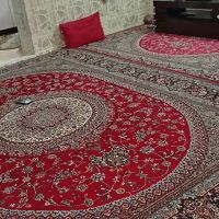 رسالت72نزدیک-حاشیه-اصلی-خیابان-رسالت