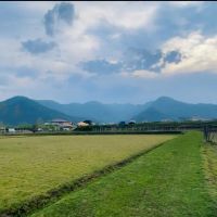 زمین-سند-دار-ماسال