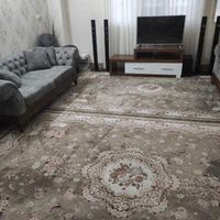 فرش ۹ متری پاتریس رنگ  نسکافه ای|فرش|گنبد کاووس, |دیوار