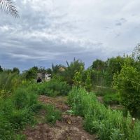 اجاره-مغازه