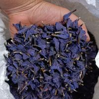گل گاو زبان اشکور|خوردنی و آشامیدنی|لنگرود, |دیوار