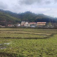 فروش-زمین-2200-متری-تماما-مسکونی-روستای-ریک