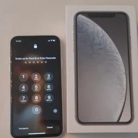 اپل iPhone XR  گیگابایت64|موبایل|تهران, سرتخت|دیوار