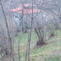 470-متر-جنت-رودبار-مسکونی-و-سند-تک-برگ-ششدانگ