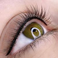 فرصت استثنائی برای خدمات میکروبلیدینگ ابرو|خدمات آرایشگری و زیبایی|تهران, سلسبیل|دیوار