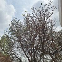 فروش-ملک-در-کوهسار