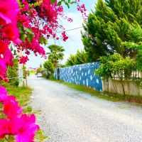 195-متری-سرمایه-گذاری-با-رشد-سریع