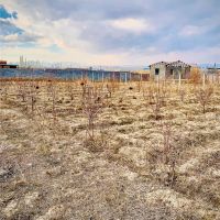 باغچه-الوان-جاده-جدید-فرودگاه
