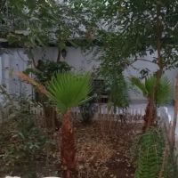 250-متر-محدوده-پارک-لاله-با-حیاط-دلباز