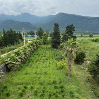 زمین-10-هکتاری-سلمانشهر