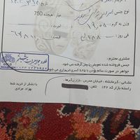 طلا نونو|جواهرات|کرمانشاه, |دیوار