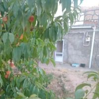 خونه-ویلایی