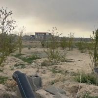 زمین-مناسب-سرمایه-گذاری-با-درختان-میوه-و-سهمیه-آب