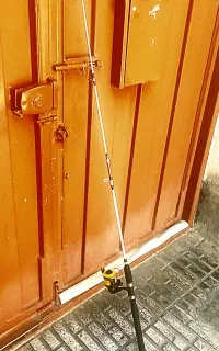 لنسر ماهیگیری