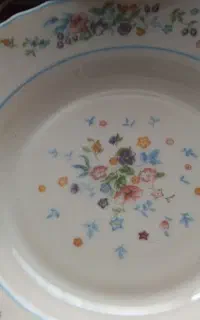برنج خوری ، خورش خوری ،پیش دستی مدل آرکوپال فرانسه