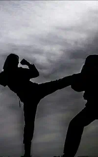 کلاس رزمی‌کاراته