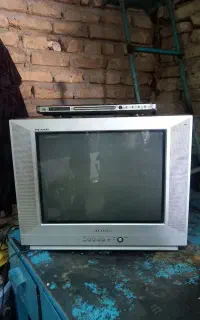 تلویزیون