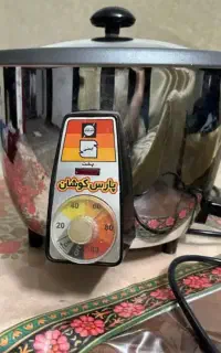 پلوپز برقی