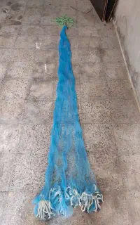 تور پرتابی