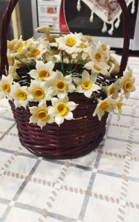 سبد گل نرگس