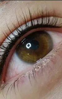 آف۵۰٪ ویژه خدمات  آرایش دائم و آموزش