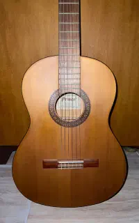 گیتار C745 اندونزی
