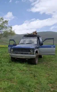 پاترول