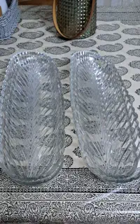 ظرف پذیرایی