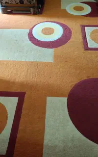 فرش ۹ متری دو تخته و جلو مبلی و عسلی ۵۰۰