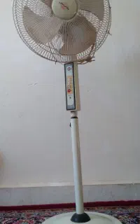 پنکه