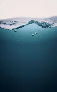 09369319500