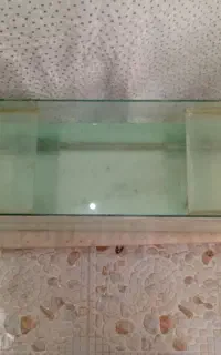 اکواریوم