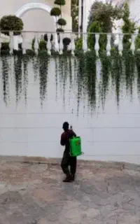 باغچه کاری انواع گل و گیاه و درخت