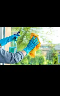 چند همکار خانم برای نظافت