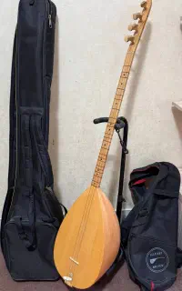 ساز دیوان