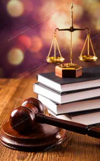 وکیل پایه ۱ و مشاور حقوقی