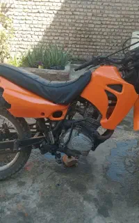 تریل جی وای مزایده سلامت