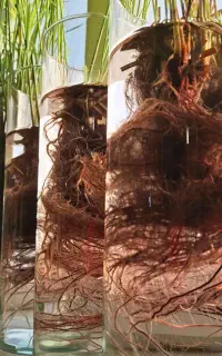 خاص برای خاص پسندها