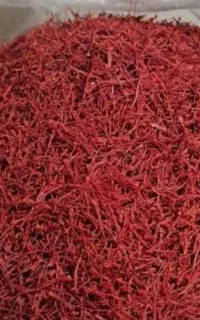 ده گرم ۱۴۵۰