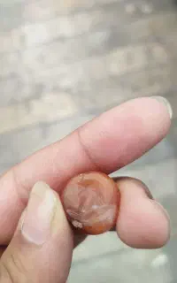 مهره کهنه